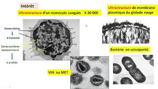 Cytologieبالعربية  2 Les méthodes détude de la cellule  Part 2 le MET [upl. by Hanikehs]