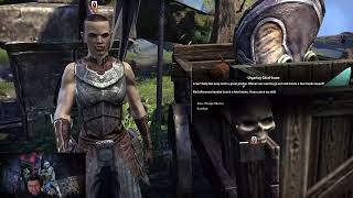 ESO HA Heavy Attack Build Trifecta Dungeons amp Pledges [upl. by Ardnekat187]