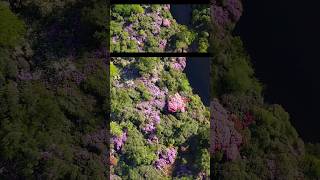 DJI Make The Best Drones 😍 DJI drone droneshots cinematic m83 shorts [upl. by Nylirek]