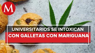 Reportan intoxicación de alumnos en Sinaloa comieron galletas con mariguana [upl. by Yelsna]