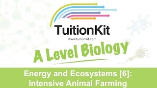 Energy an Ecosystems 6 Intensive Animal Farming High band Biology [upl. by Topliffe]