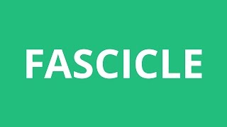 How To Pronounce Fascicle  Pronunciation Academy [upl. by Saffier]