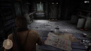 Red Dead Redemption 2 double barrel shotgun location [upl. by Anitnatsnok]