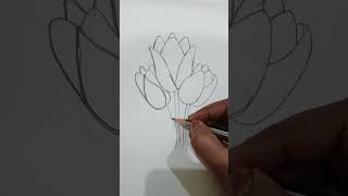 Tulip flower drawing 🥰🥰😍😍 [upl. by Hanus]