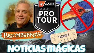 Pro Tour Ámterdam Teaser de Maro y hasta una rifa  MTG News [upl. by Trovillion173]