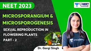 Microsporangium and Microsporogenesis  Part 2  NEET 2023  Dr Gargi Singh [upl. by Hailey]