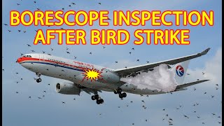 ENGINE BORESCOPE INSPECTION AFTER BIRD STRIKE  AIRBUS A330 [upl. by Drofkcor837]