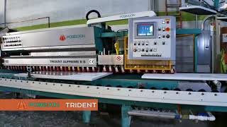 TRIDENT EDGE POLISHER MAKES ALL STANDARD PROFILES 10 TIMES FASTER THAN PEOPLE [upl. by Lyn]