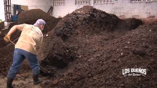 Cómo Utilizar desechos orgánicos de Bovinos para Hacer compost  TvAgro por Juan Gonzalo Angel [upl. by Enomor672]