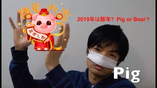 2019年は豚年？Pig or Boar [upl. by Hola485]