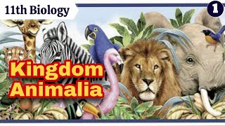 11th Biology  CHAPTER 4  Animal Kingdom  Lecture1 [upl. by Acebber]