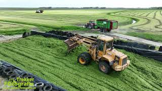 Gras hakselen 2024  O de Graaf  Chopping Grass  Grassilage [upl. by Enenstein884]