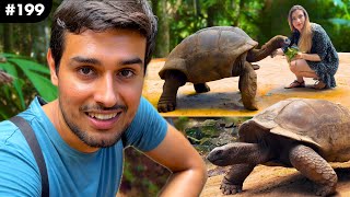 The Giant Aldabra Tortoises  Longest Living Reptiles 190 years  Dhruv Rathee Vlogs [upl. by Atinyl]