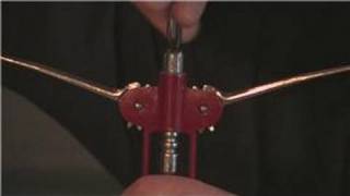 Wine Advice  How to Open Wine With a Lever Opener [upl. by Bili]