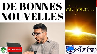 Bonnes Nouvelles dans les Crypto monnaies  Vita Inu VINU [upl. by Nylhtac]