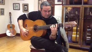 Taranta on Ramon Montoya guitar [upl. by Oilut]