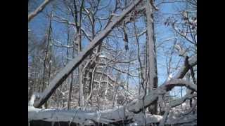 Summit New Jersey Snow Storm Martins Brook Park February 2013 [upl. by Borchers]