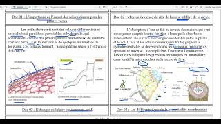 71Absorption de leau et des solutés par les racines [upl. by Fiedler]