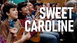 Sweet Caroline Neil Diamond cover Austin Ukulele Society [upl. by Araiek]