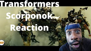 Transformers Scorponok Reaction [upl. by Enaled]