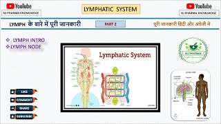 Lymphatic system lecture 2  Anatomy and physiology  lymph intro  lymph node  biology [upl. by Atikel]