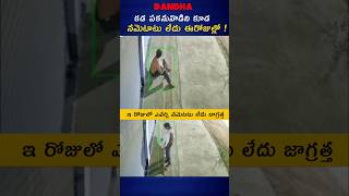 Side Effects Of Good Bussiness  ఓర్వజాలనొలతో జాగ్రత్త 😂 shorts news viral [upl. by Geraldine]