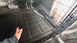 Review of Indestructible kennel mat [upl. by Helenka]