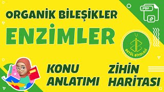 Enzimler  TYT Biyoloji  9 Sınıf Biyoloji  PDF YKS2022 enzimler TYTbiyoloji [upl. by Nylirak230]