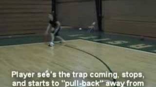 Basketball Ball Handling Drill  Pull Back Crossover Drill [upl. by Vidovik]