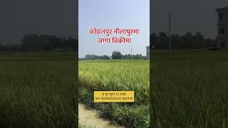 Ghaderi bikrima kohalpur [upl. by Annadroj898]