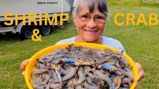 Blue Crabs And Some Shrimp [upl. by Robi]