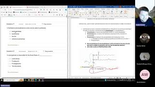 LIVE 61824 Linus Qs Ch 5 Eicosanoid Biosynthesis [upl. by Neeleuqcaj]