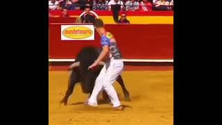 Teasing bull Show Sports  Bull Comedy scenes  Playing with bulls [upl. by Anelhtak]