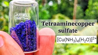 tetraamine Copper Sulfate crystals preparation [upl. by Knick92]