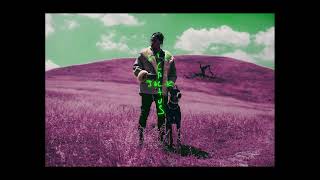 Travis ScottPlayboi Carti Perfect Transitions  Part 1 PART 2 IN DESC [upl. by Ahsak]