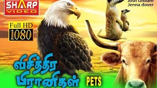 விசித்தர பிராணிகள்ஹாலிவுட் DUBBED MOVIE  சூப்பர் ஹிட் பில்ம்ஸ் HOLLYWOOD HD MOVIE NEW COLLECTION [upl. by Seilenna]