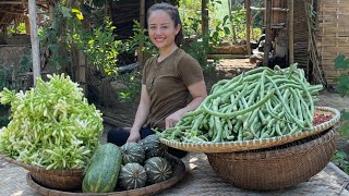 Harvest papayas cowpeas raisins amp squash to go to the market to sell [upl. by Kelly]