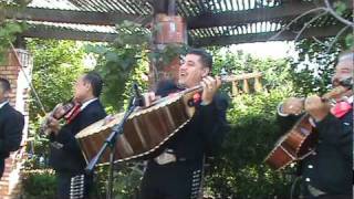 Mariachi Halcones De Jalisco  Puno De Tierra [upl. by Edythe94]