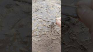 Satisfying mud 73funny oddlysatisfying shortvideo toys shortsfeed diy shorts [upl. by Amalberga]