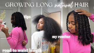 How Im Growing Long Hair in 2024  My Natural Hair Care Routine for Length Retention update [upl. by Dominique]