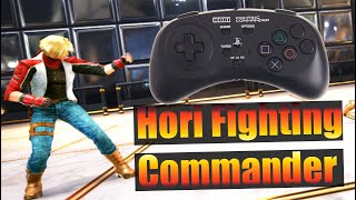 Hori FC vs Dualshock 4 Comparison Which Pad is Better TEKKEN [upl. by Noyad]