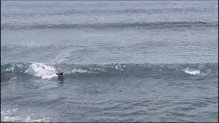 Bodyboard playa Las Galletas 5 Agosto 2024 [upl. by Henriha]