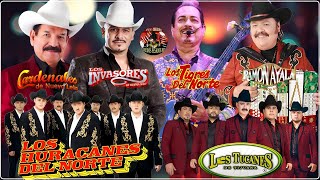 Los Tigres del Norte Lalo Mora Cardenales De Nuevo Leon Los Invasores De Nuevo Leon Ramon Ayala [upl. by Nevile758]