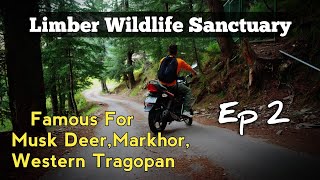 Limber Wildlife Sanctuary  Episode 2 [upl. by Hammerskjold]