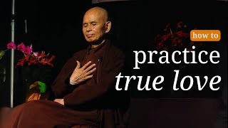 True LOVE  Teaching by Thich Nhat Hanh [upl. by Mollee923]