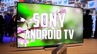 TV Sony con Android TV primeras impresiones CES 2016 [upl. by Gwenora315]