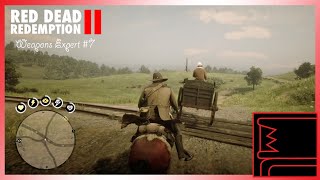 Red Dead Redemption 2 Weapons Expert 7 [upl. by Irwinn]