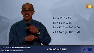 Section Sciences Expérimentales  Sciences Physiques  fem dune pile [upl. by Ovid]