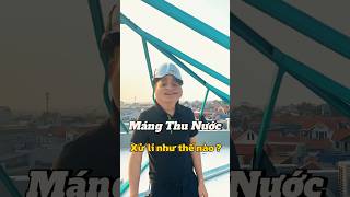 Máng thu nước xử lí như thế nào  tttvietnam shortvideo shorts [upl. by Ati]