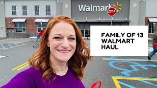 FAMILY OF 13 WALMART HAUL [upl. by Vivie987]